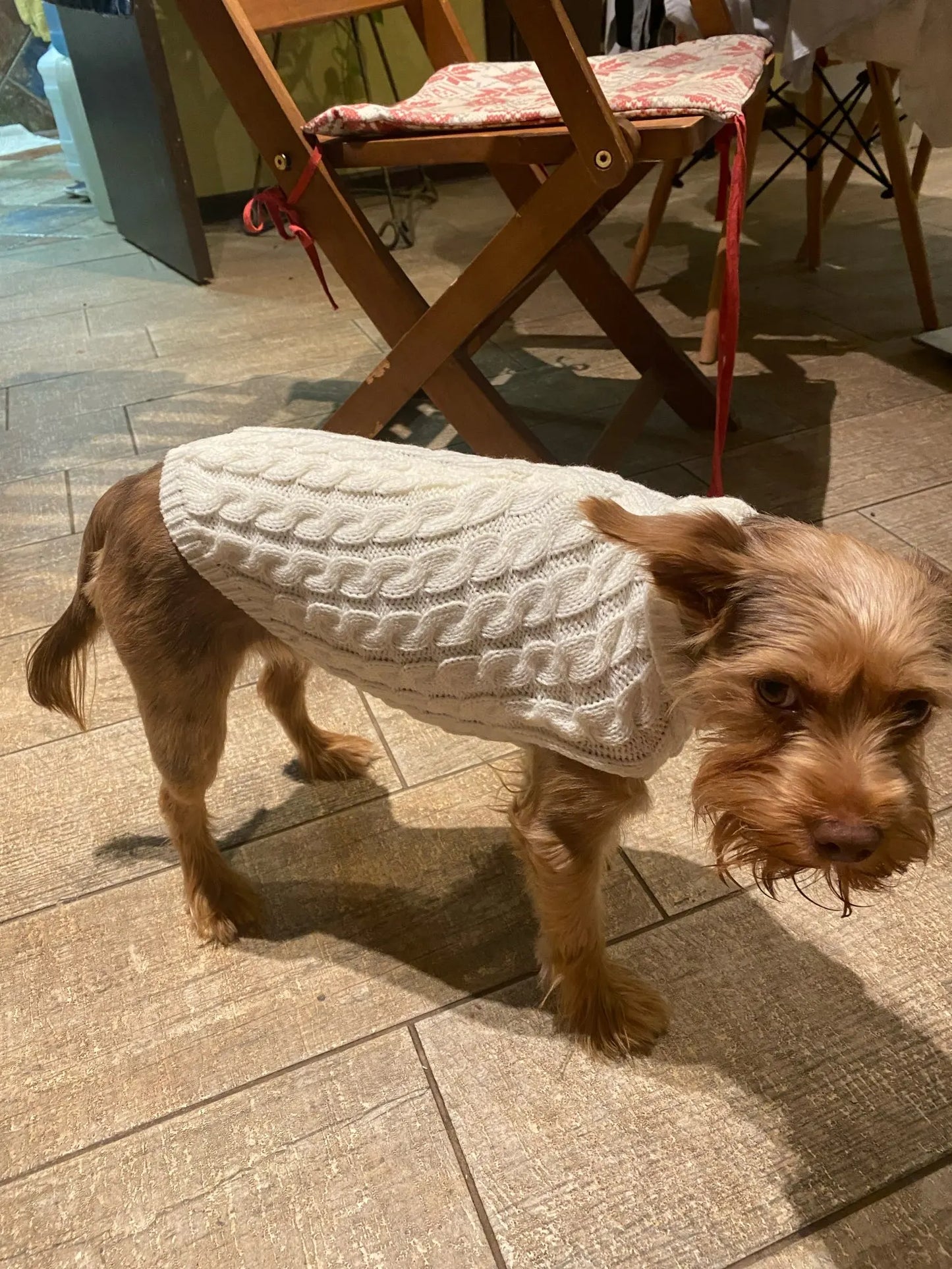 Knitted Pet Sweater