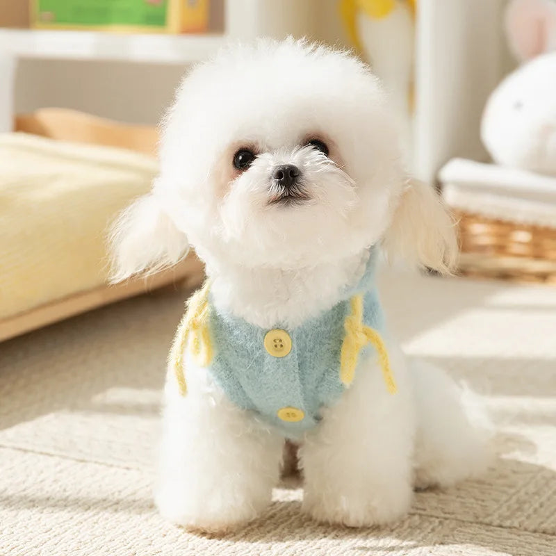 Letter Dog Sweater