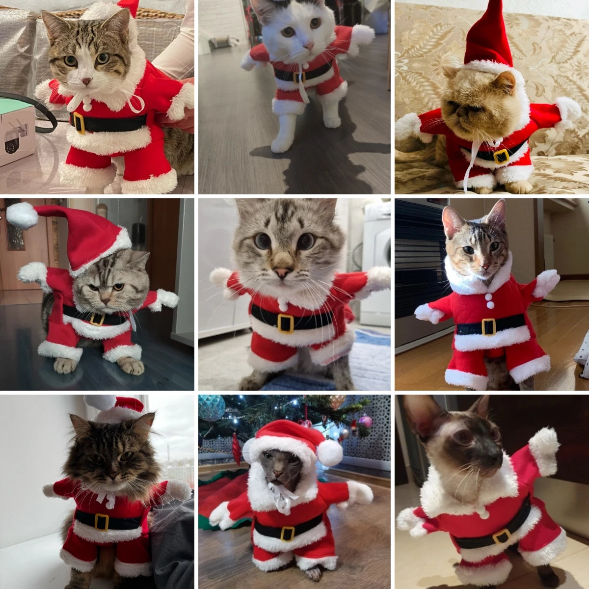 Christmas Santa Pet Costume