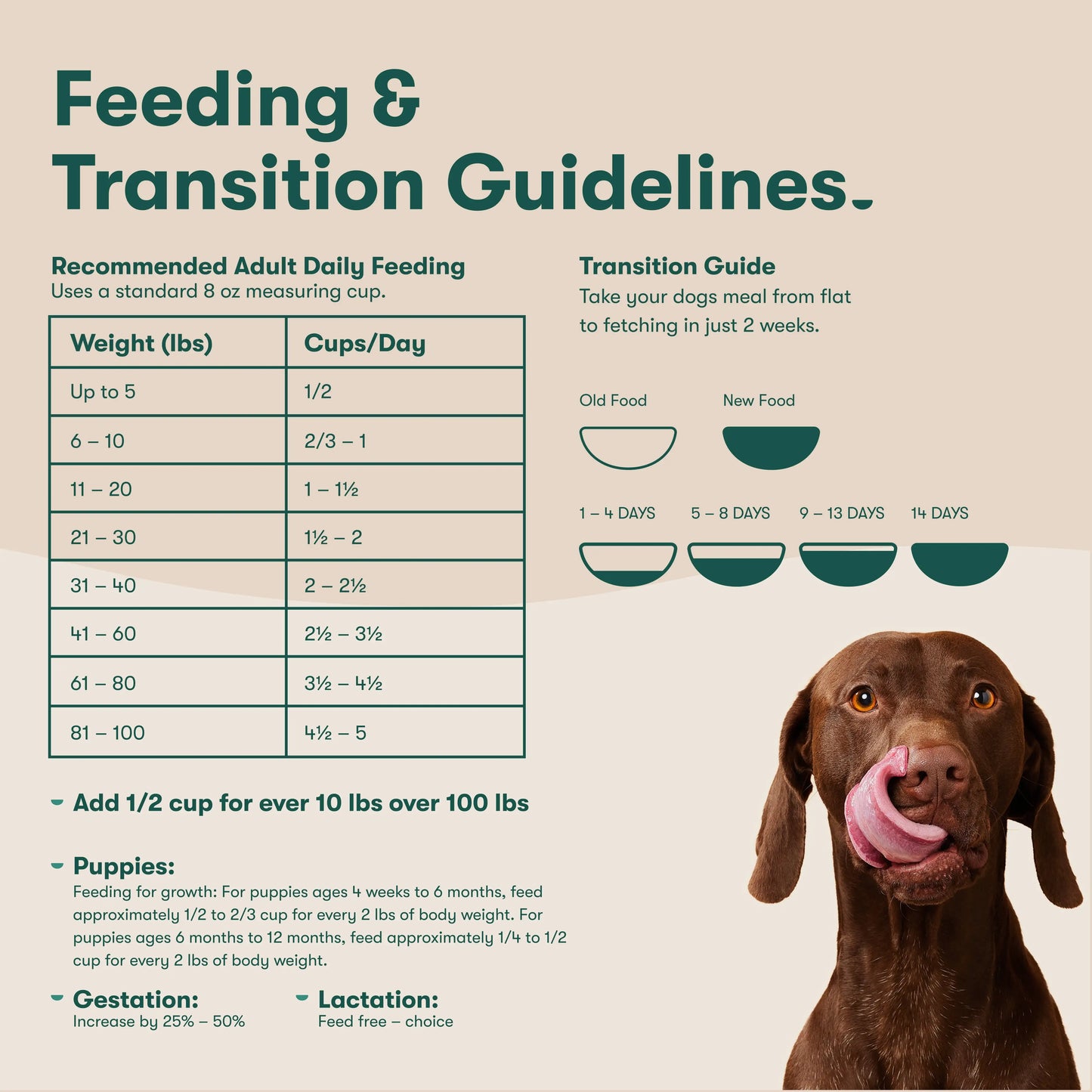 Salmon & Brown Rice Dog Food 30lb Bag