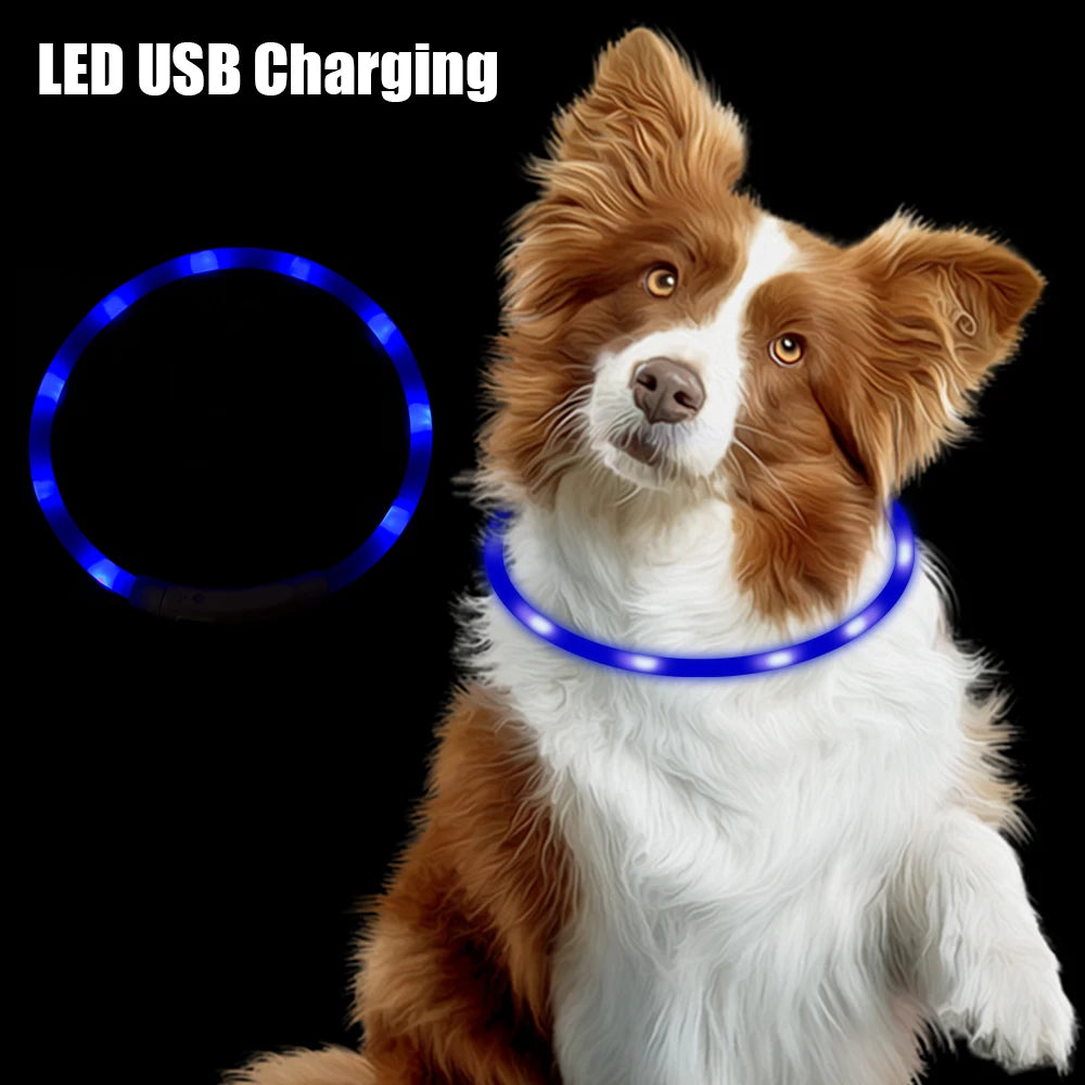 USB Rechargeable LED Dog Safety Collar