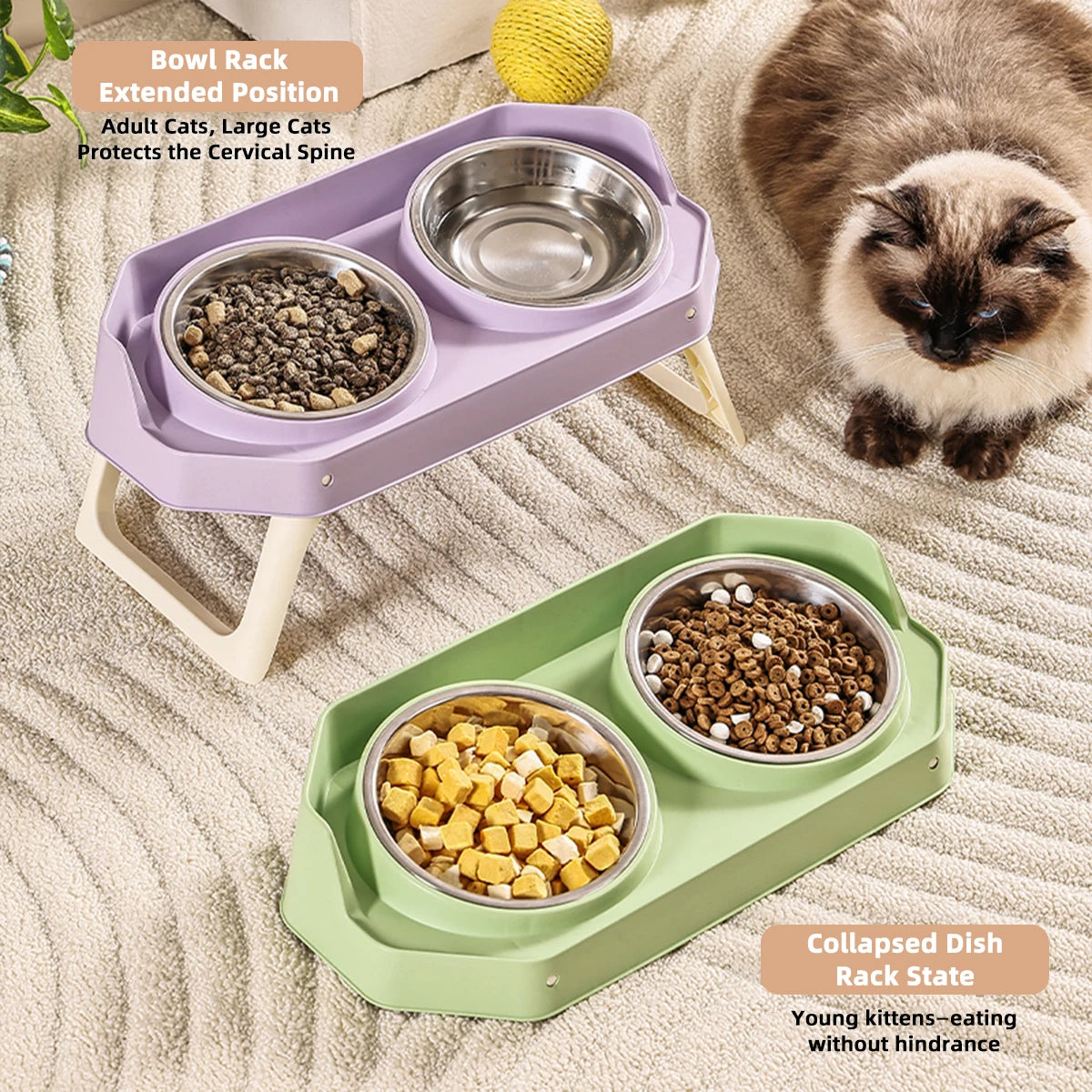 Elevated Detachable Pet Food & Water Bowl with Stand