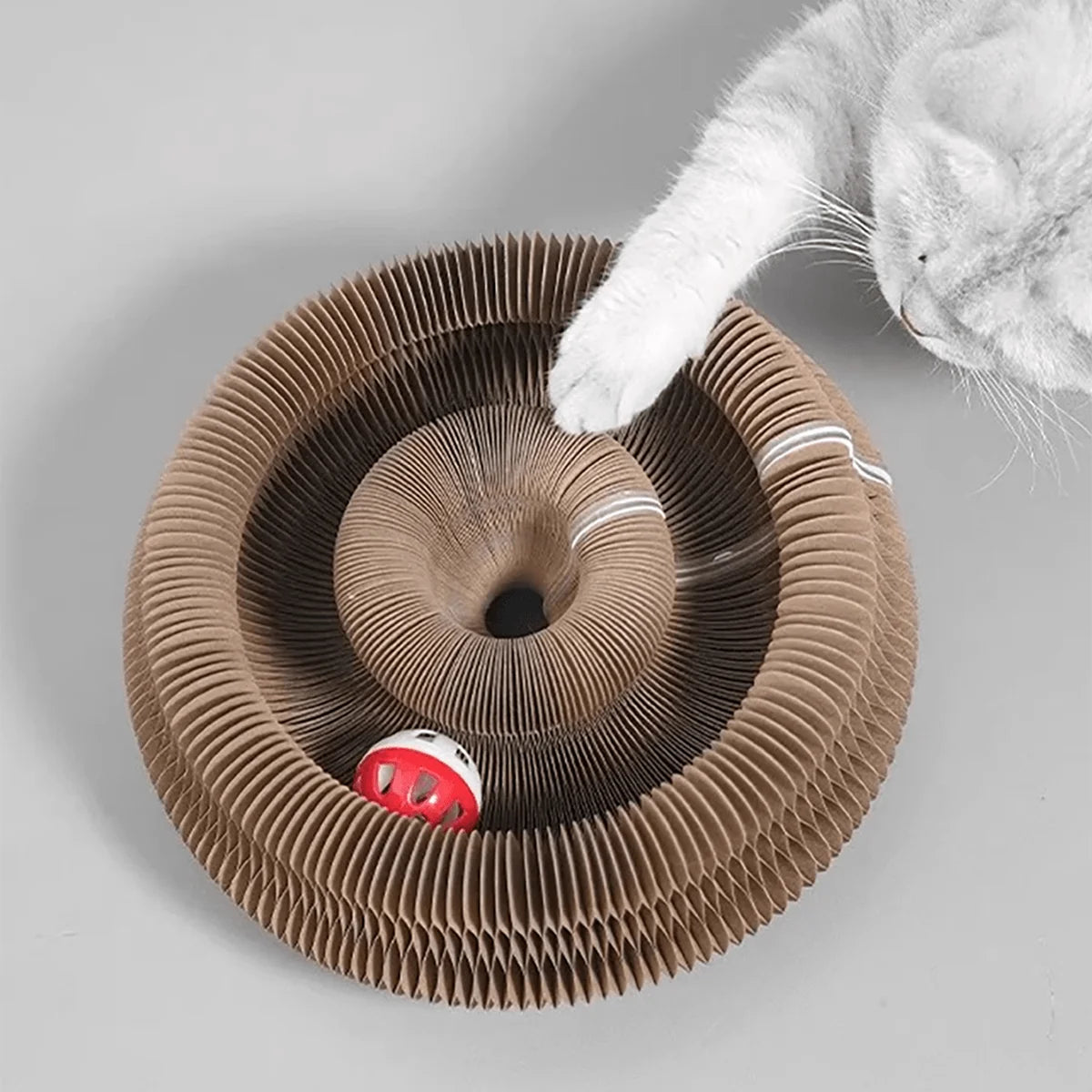 Foldable Cat Scratcher Toy with Bell & Catnip