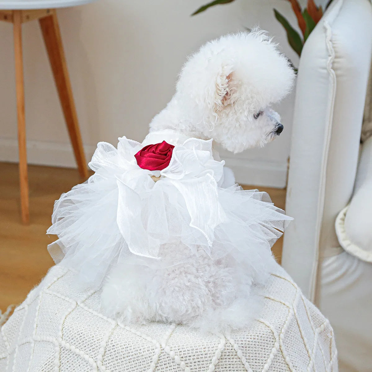 Princess Pet Dress
