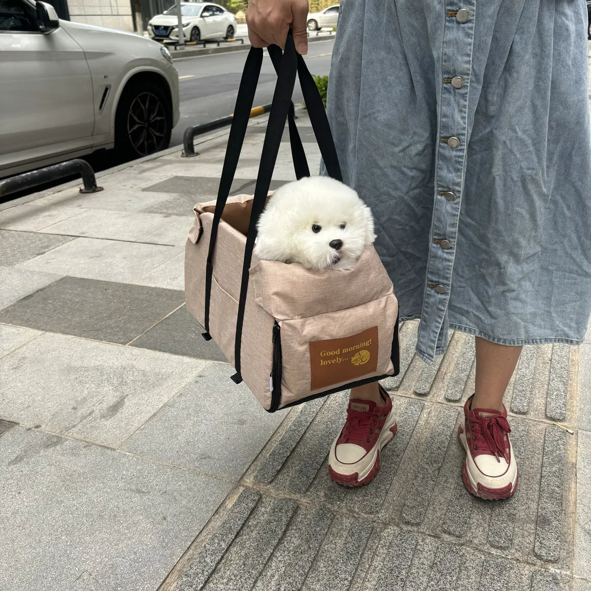 Portable Console Booster Car Seat & Carrier for Small Pets