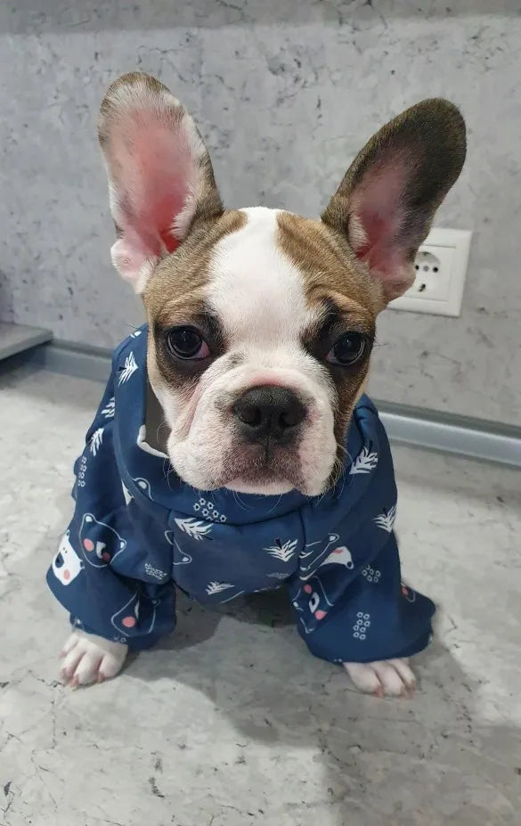 Small Dog Pet Jacket Shirt