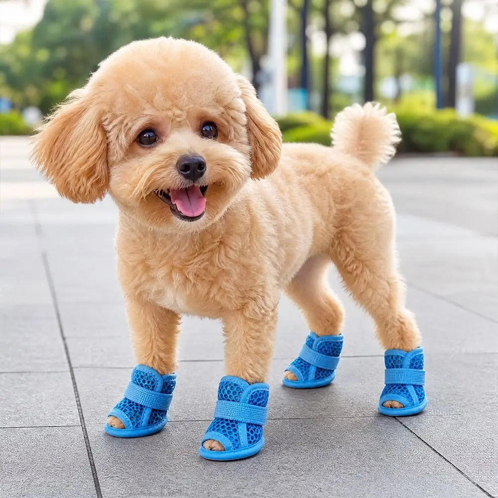 Mesh Dog Shoes