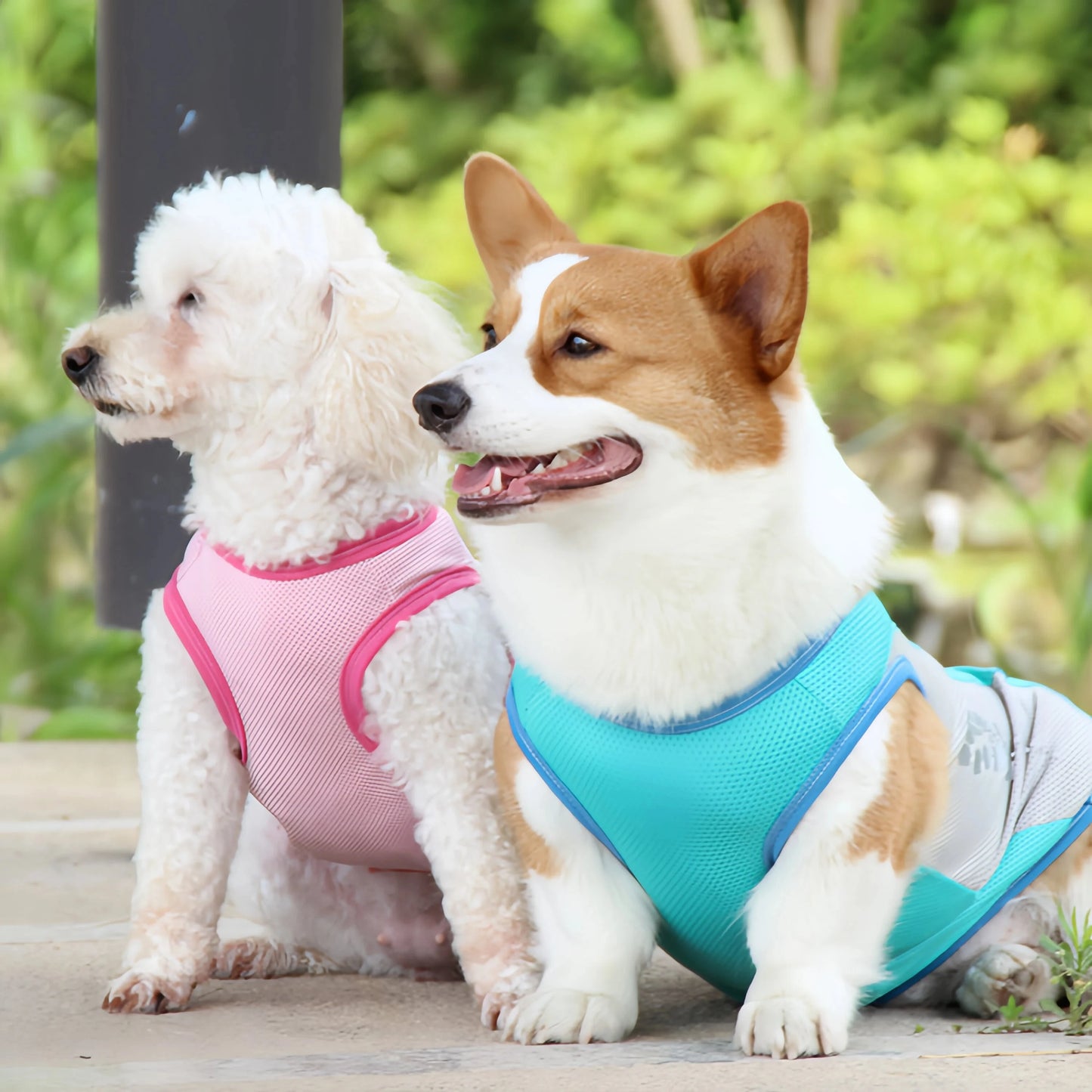Cooling Pet Vest