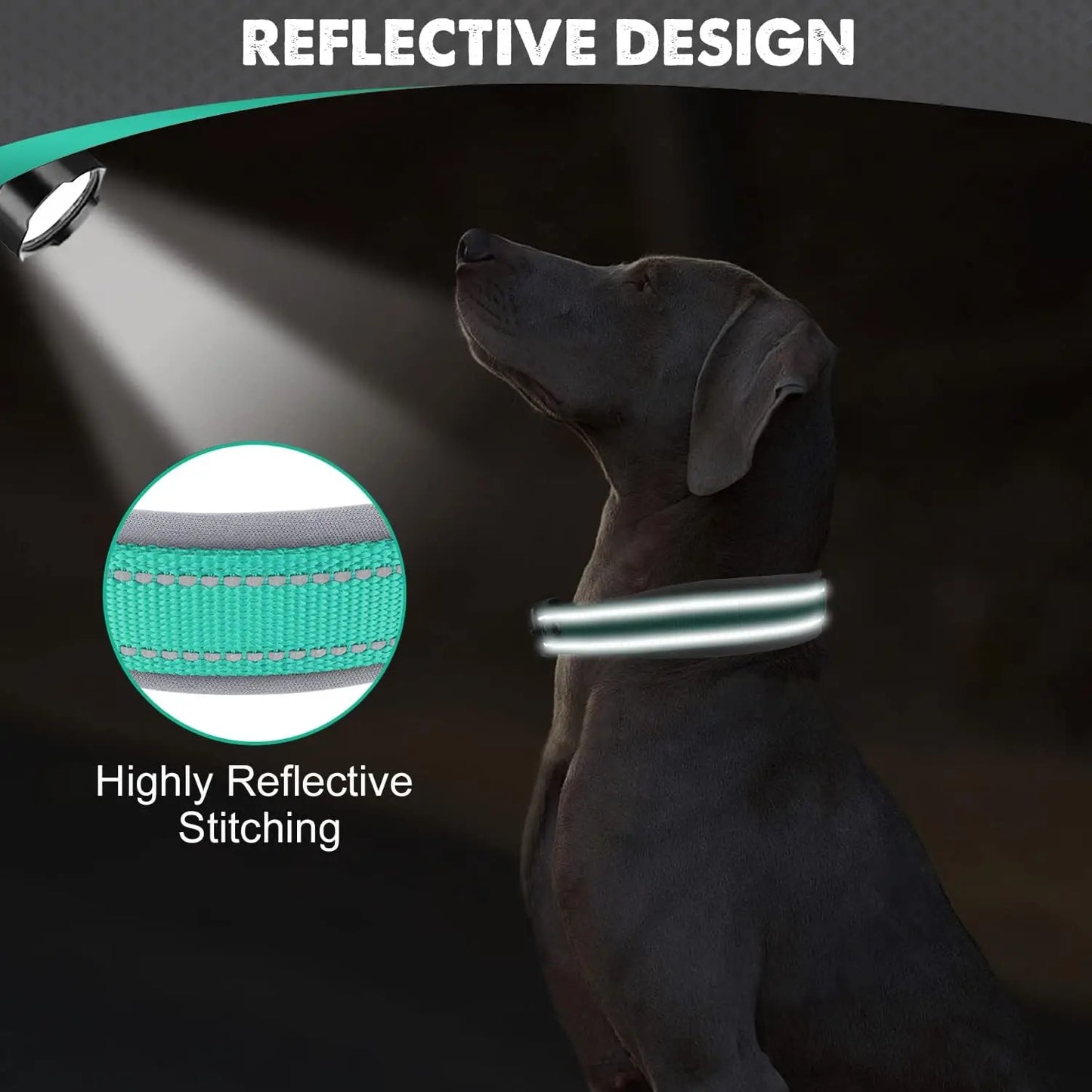 Reflective Padded Heavy-Duty Dog Collar