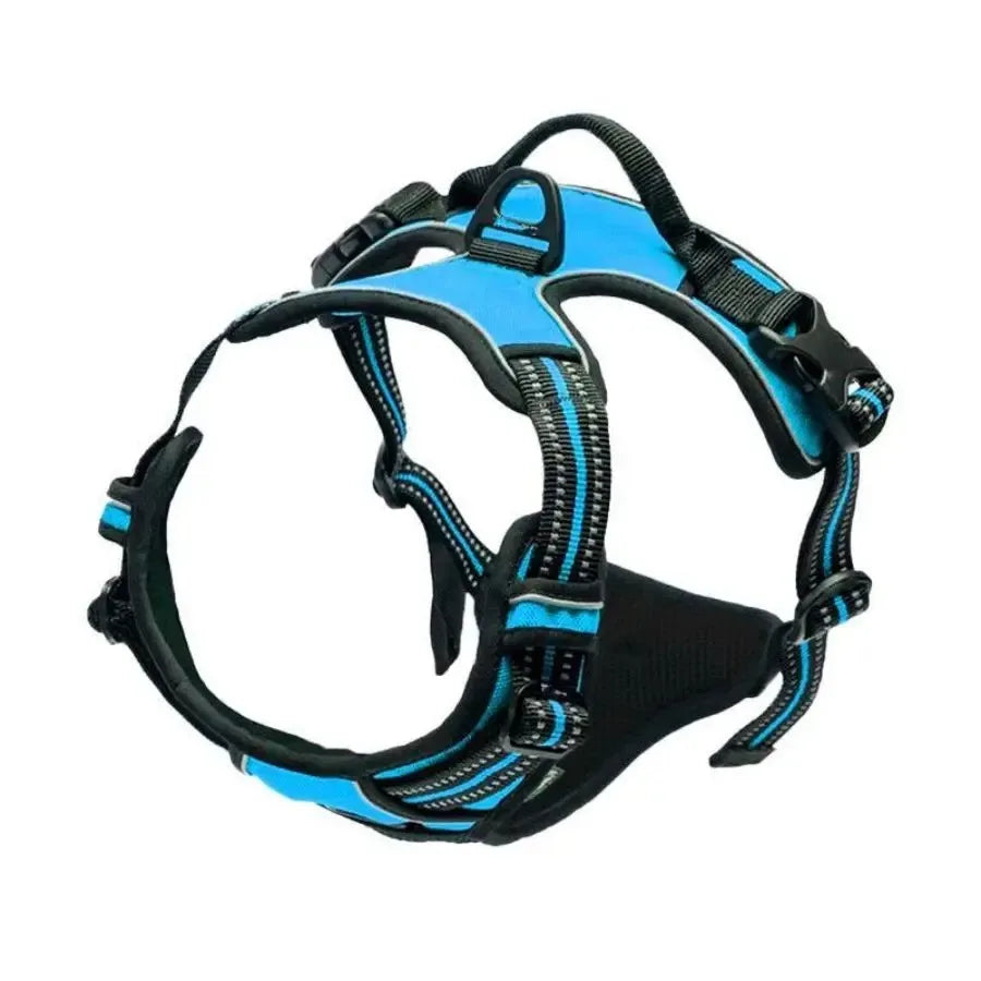Dog Collar, Harness & Leash Set