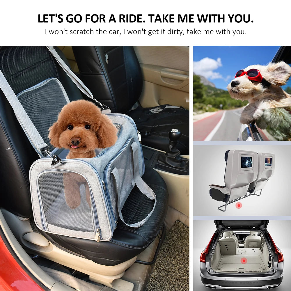 Airline-Approved Pet Carrier Backpack