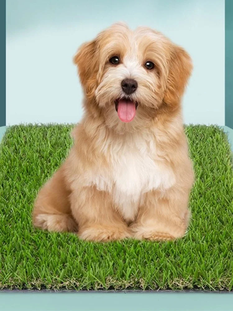 Reusable Artificial Grass Dog Toilet Training Mat