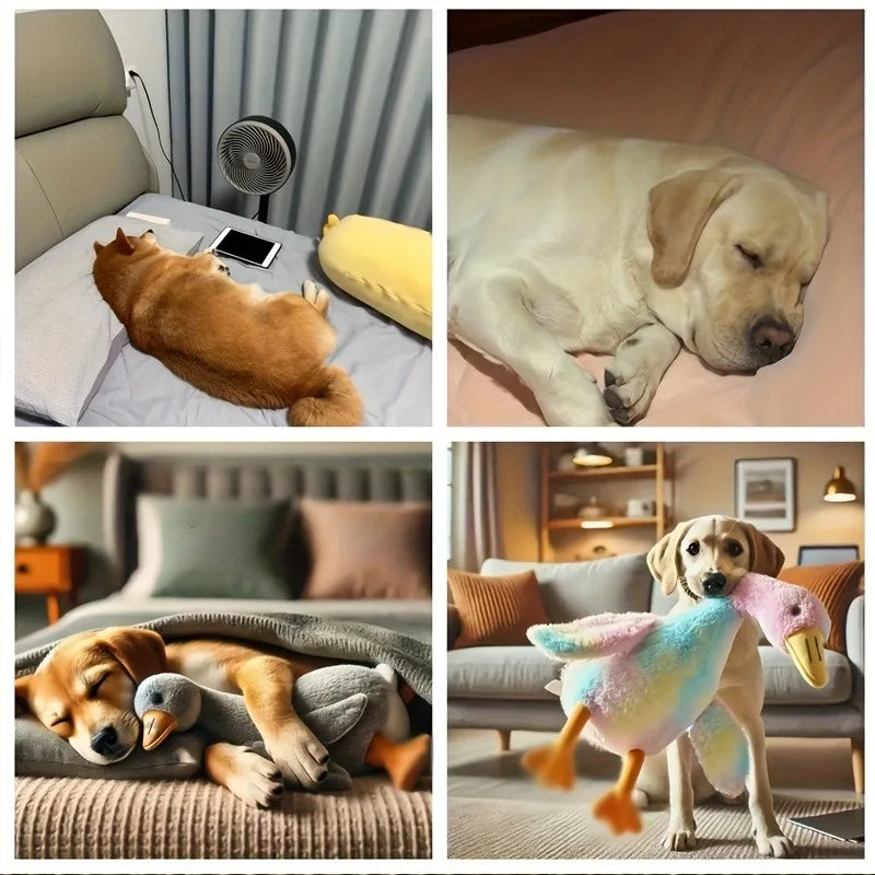 50cm Soft Plush Duck Dog & Cat Toy