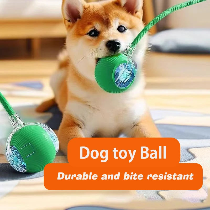 Automatic Rechargeable Interactive Dog Ball Toy