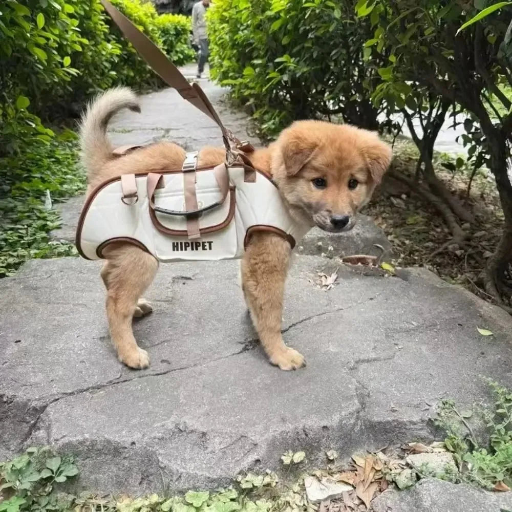 Multi-Functional Pet Carrier Backpack
