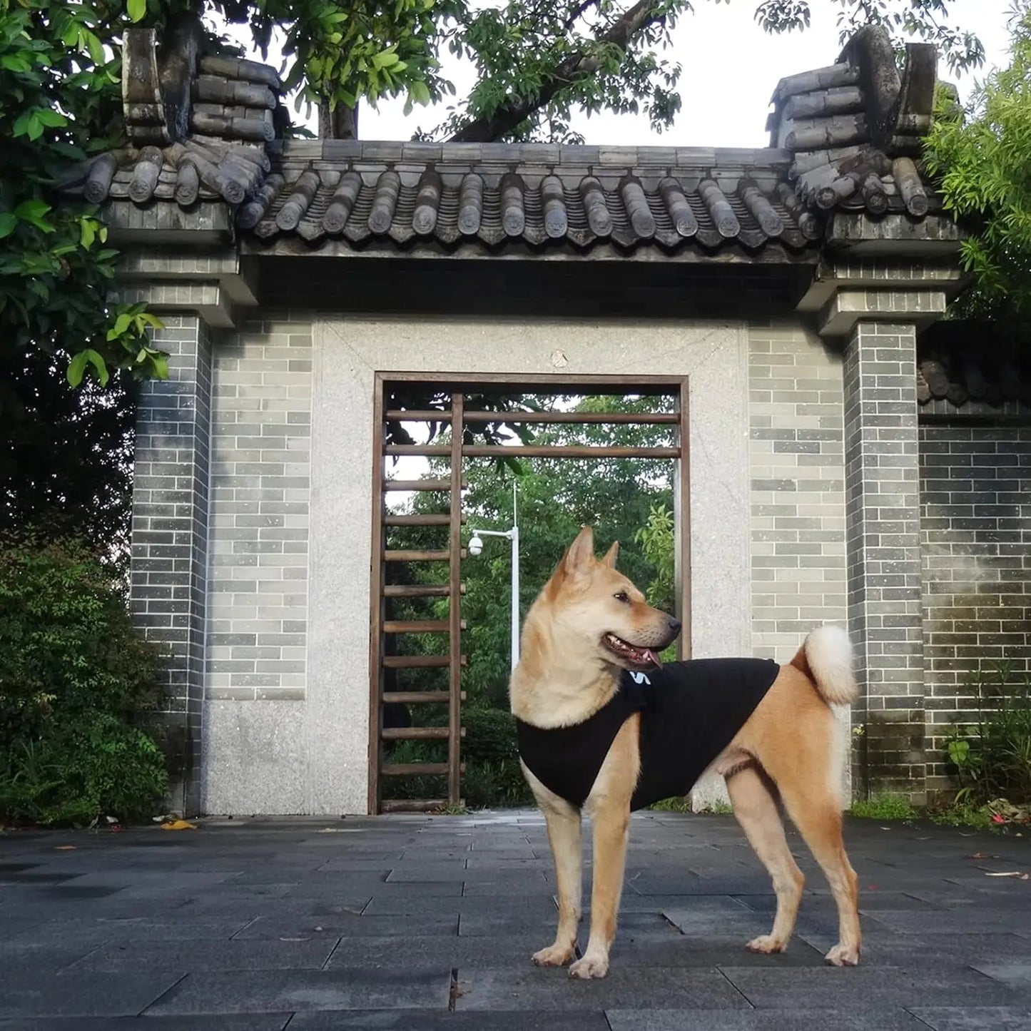 Security Dog T-Shirt
