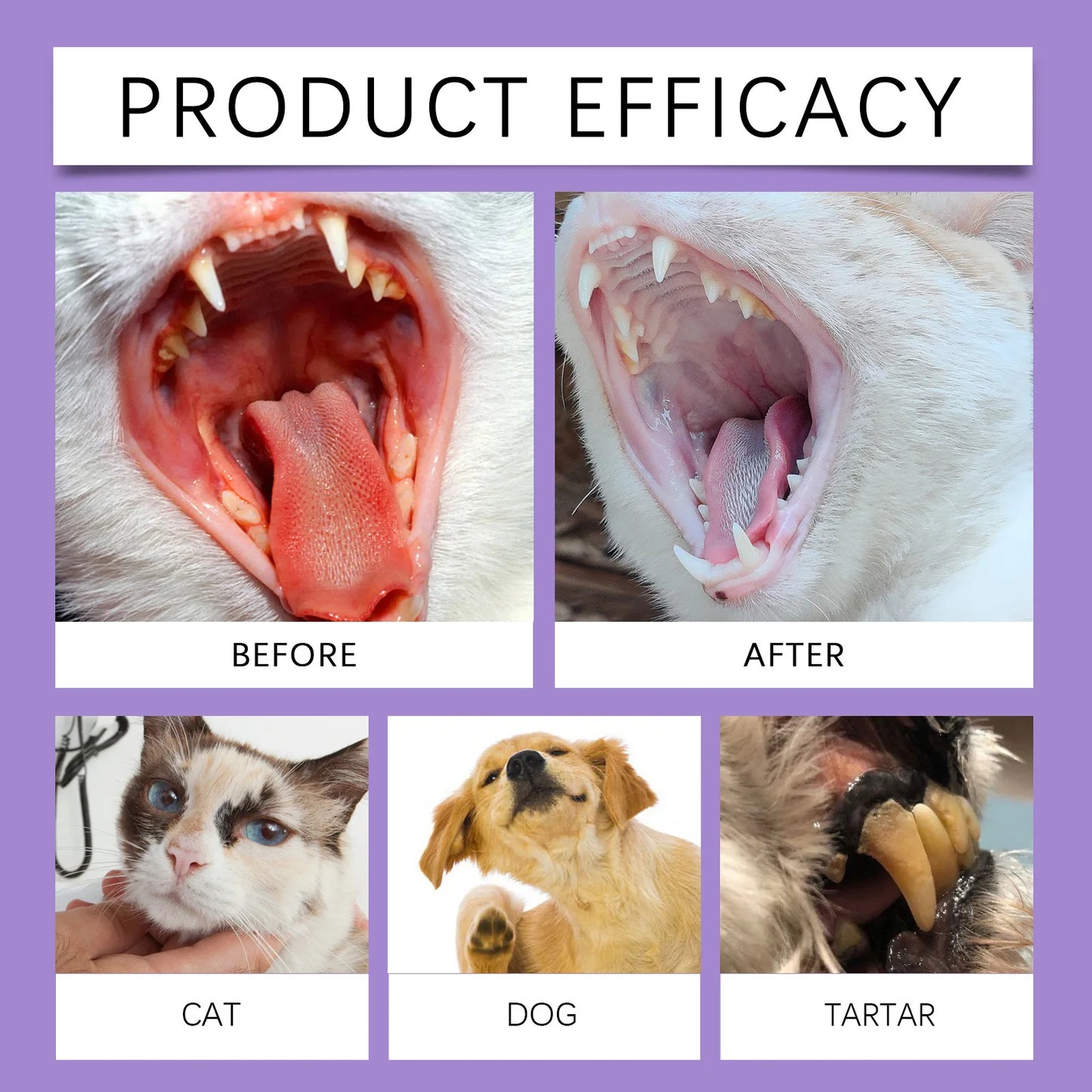 Pet Oral Care Spray (50ml)