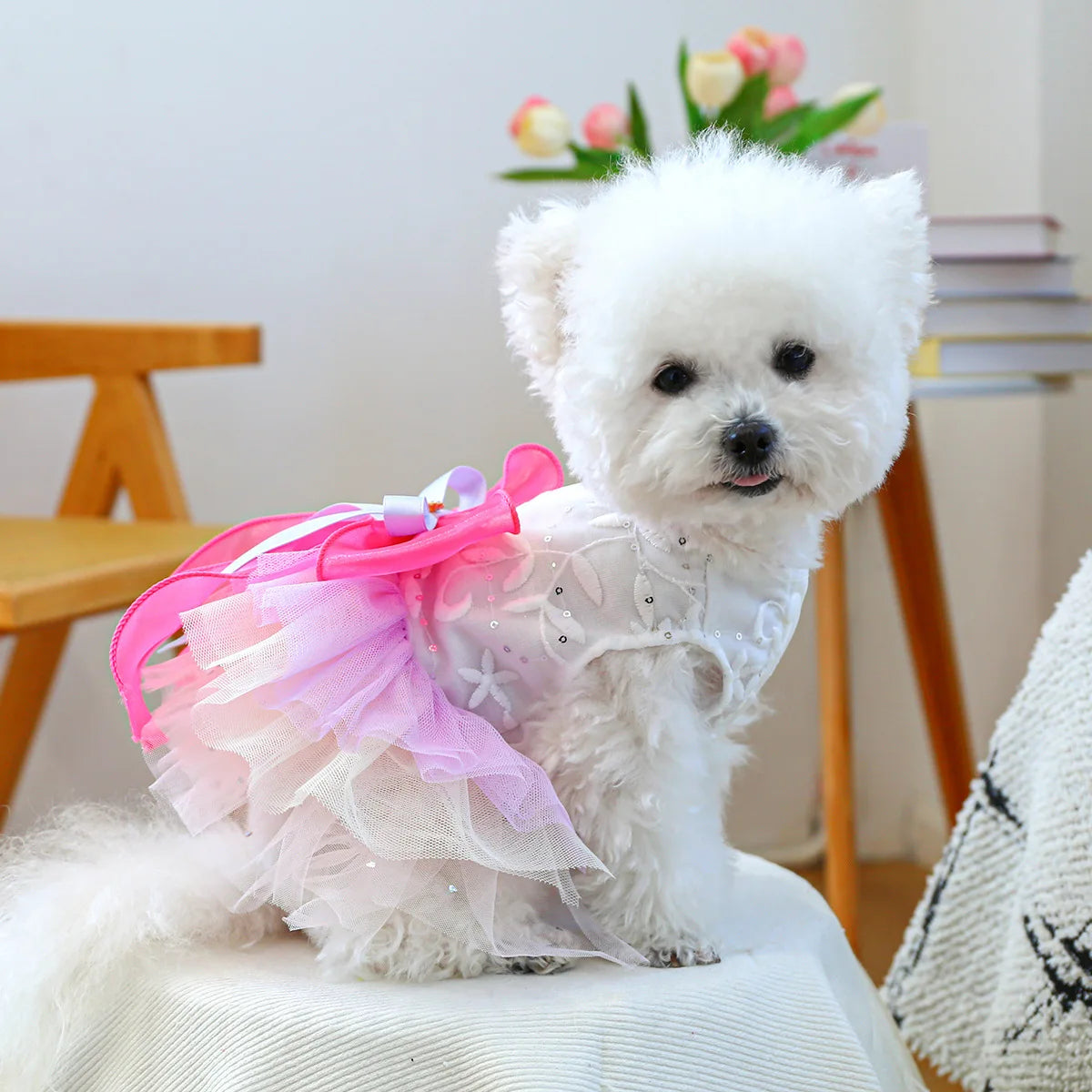 Princess Pet Dress