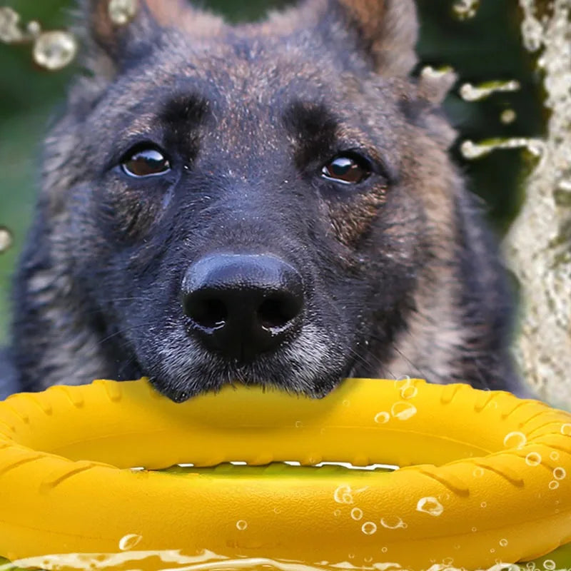 EVA Floating Dog Flying Disc Toy