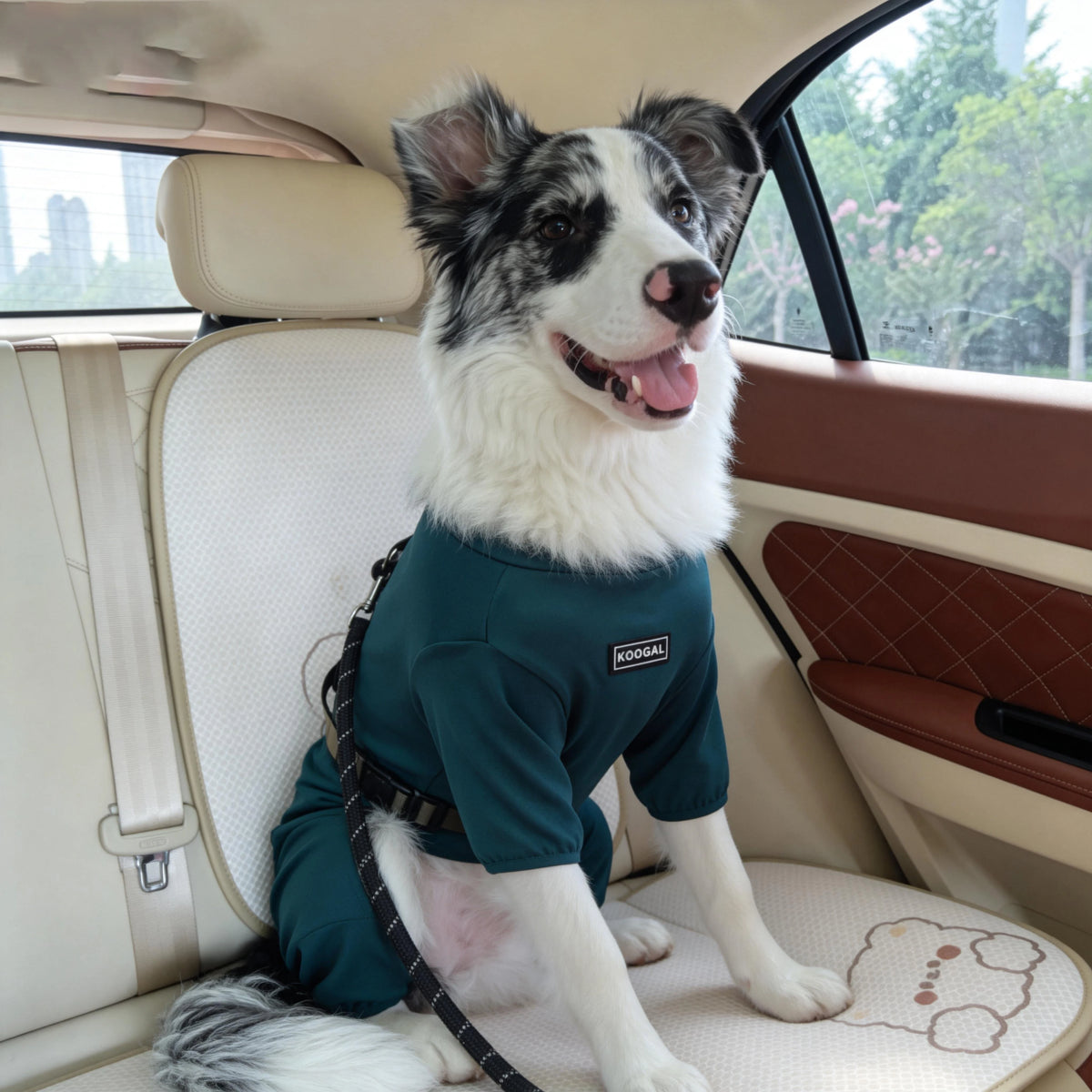 Pet Pajamas