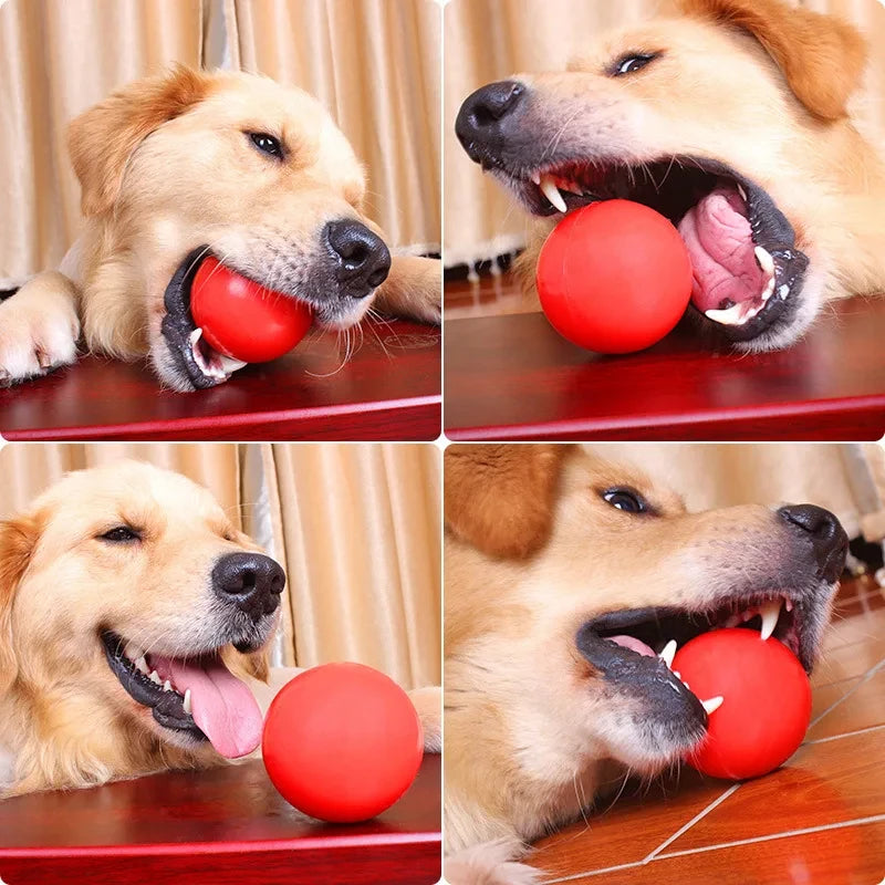Indestructible Rubber Dog Ball Toy