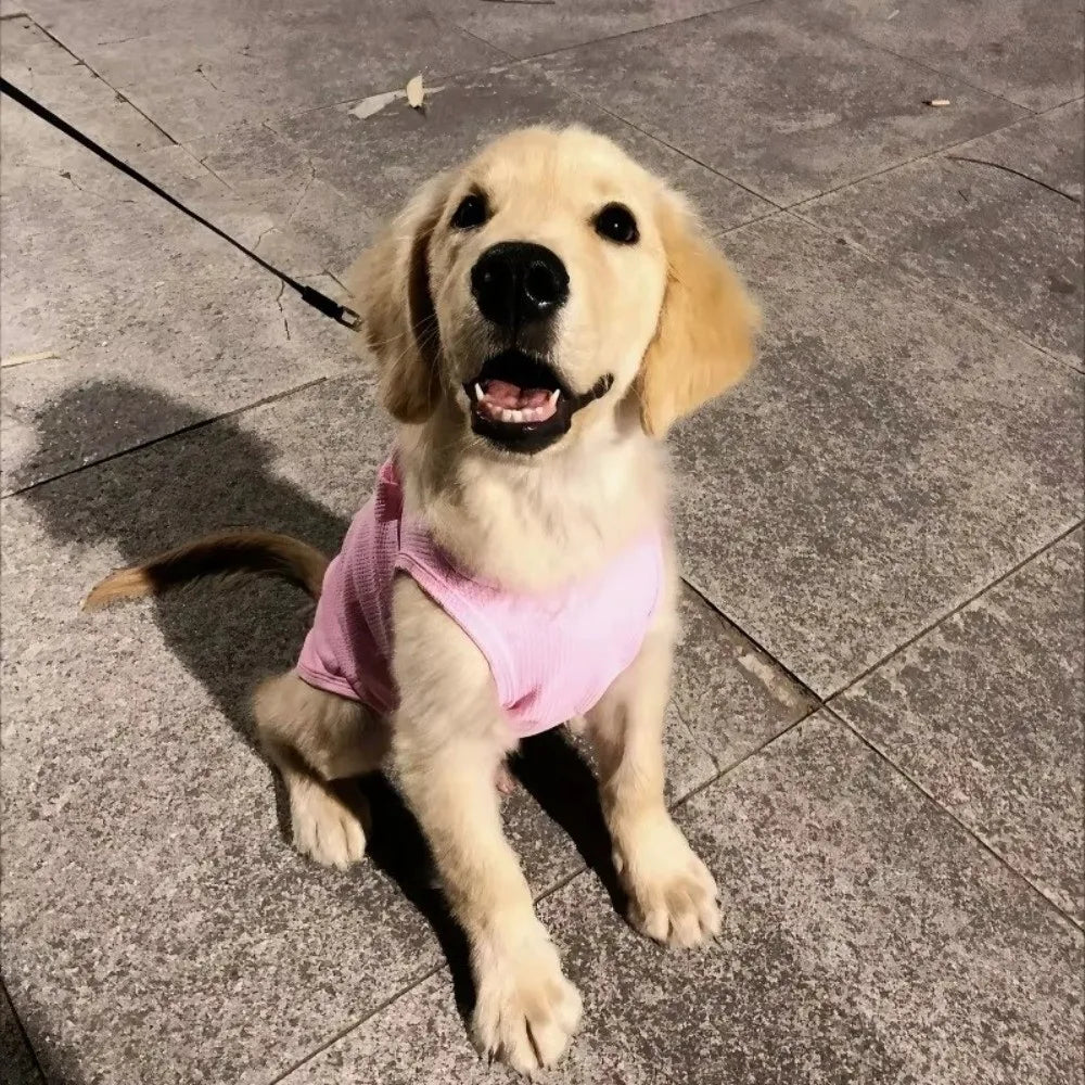 Soft Cotton Pet Vest