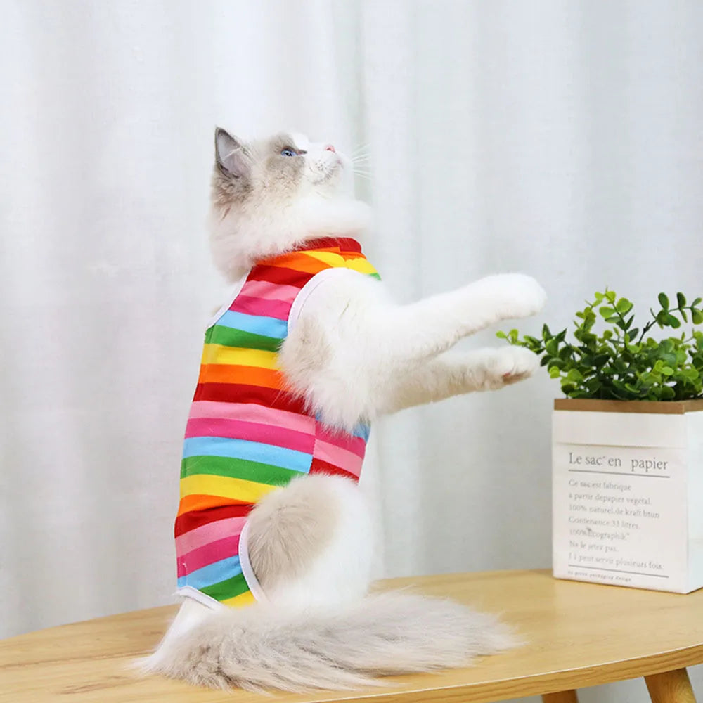 Pet Recovery Vest