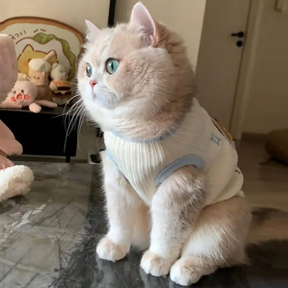 Breathable Pet Vest