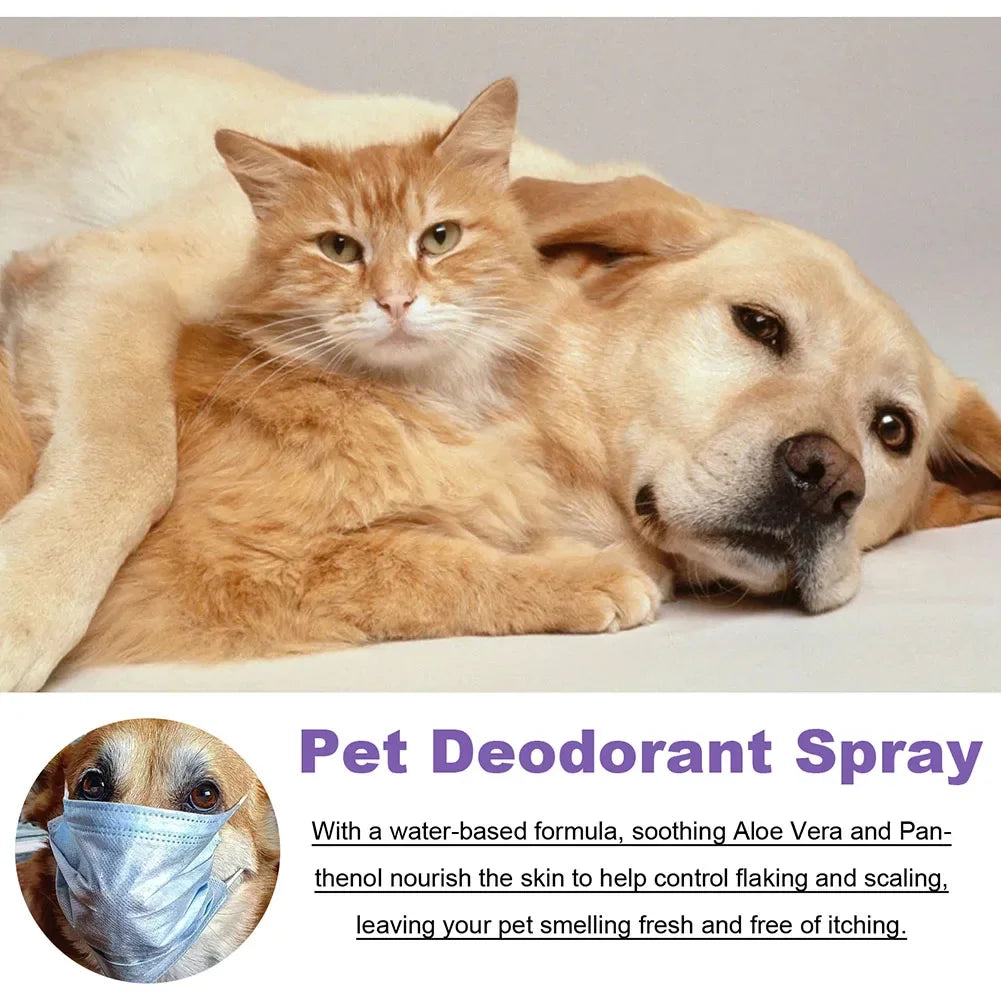 Lavender Dog Deodorizing Spray for Odor Control