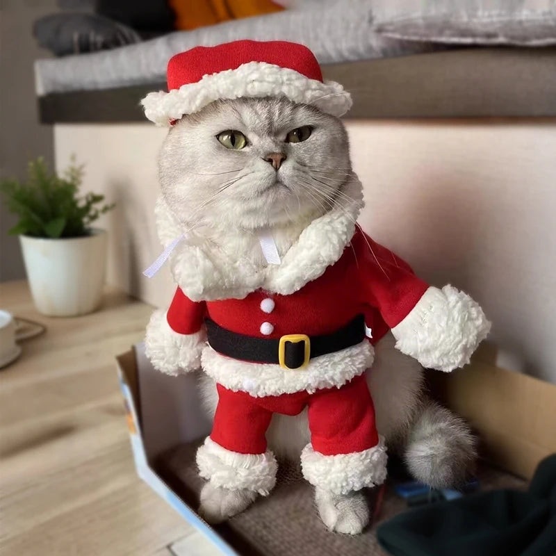 Santa Pet Costume