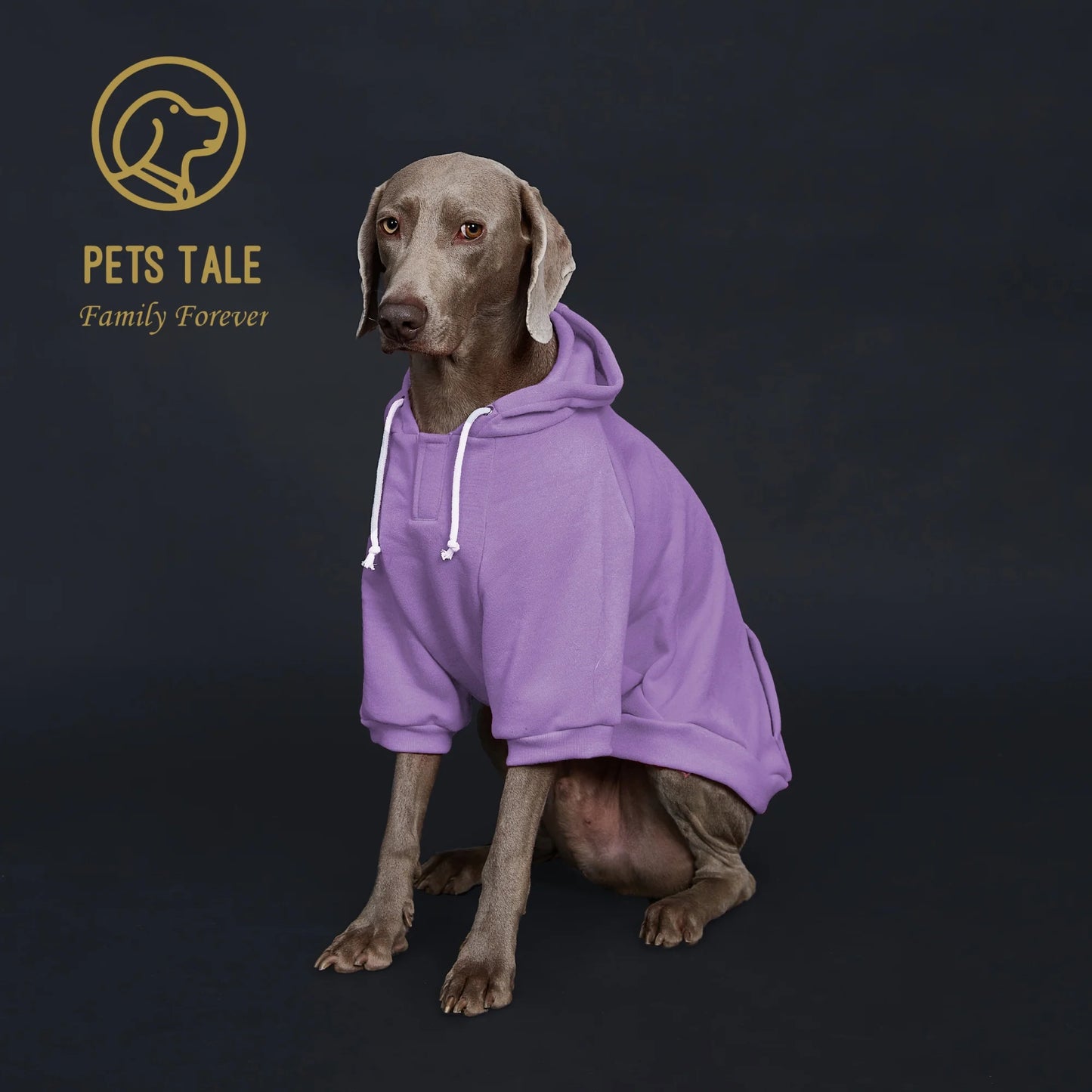 Dog Hoodie with Pocket