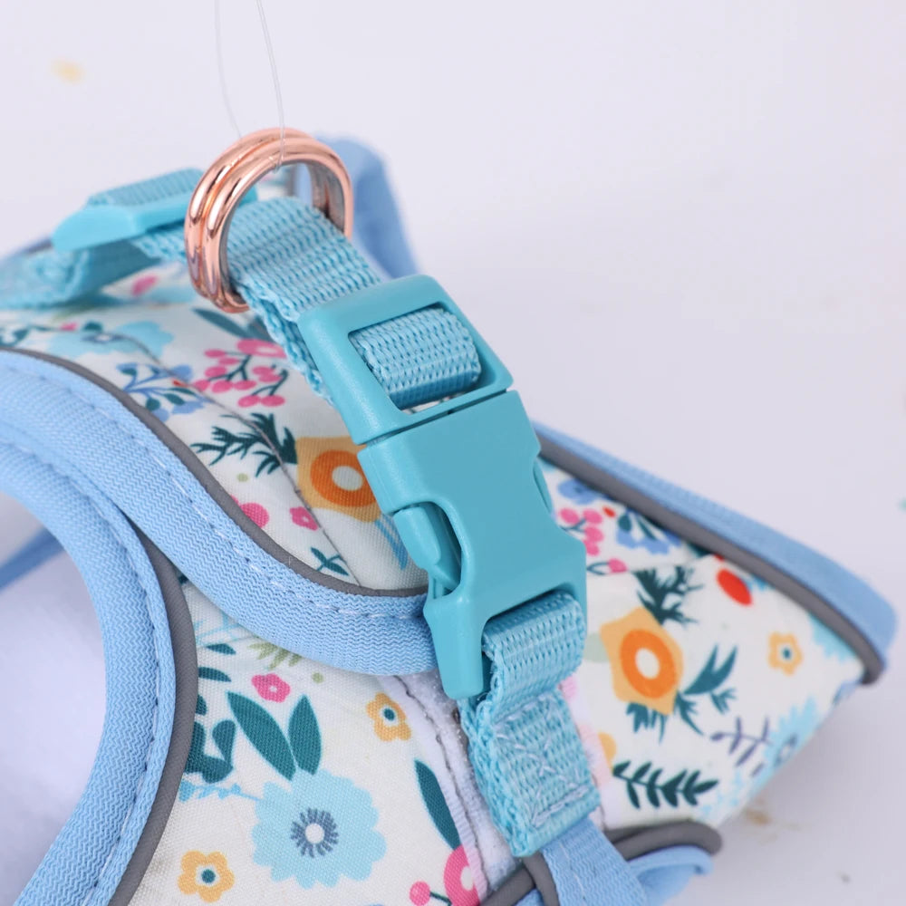 Soft Adjustable Dog Harness & Leash Set