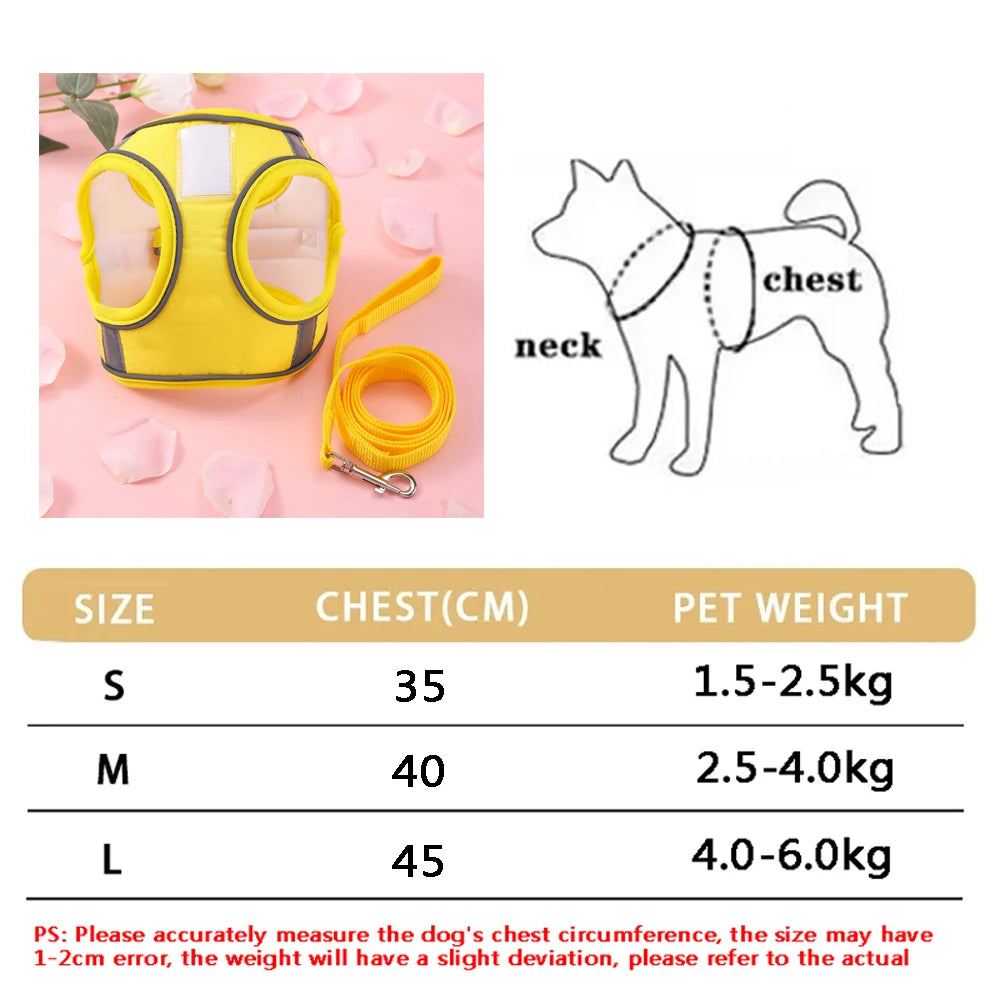 Soft Adjustable Dog Harness & Leash Set