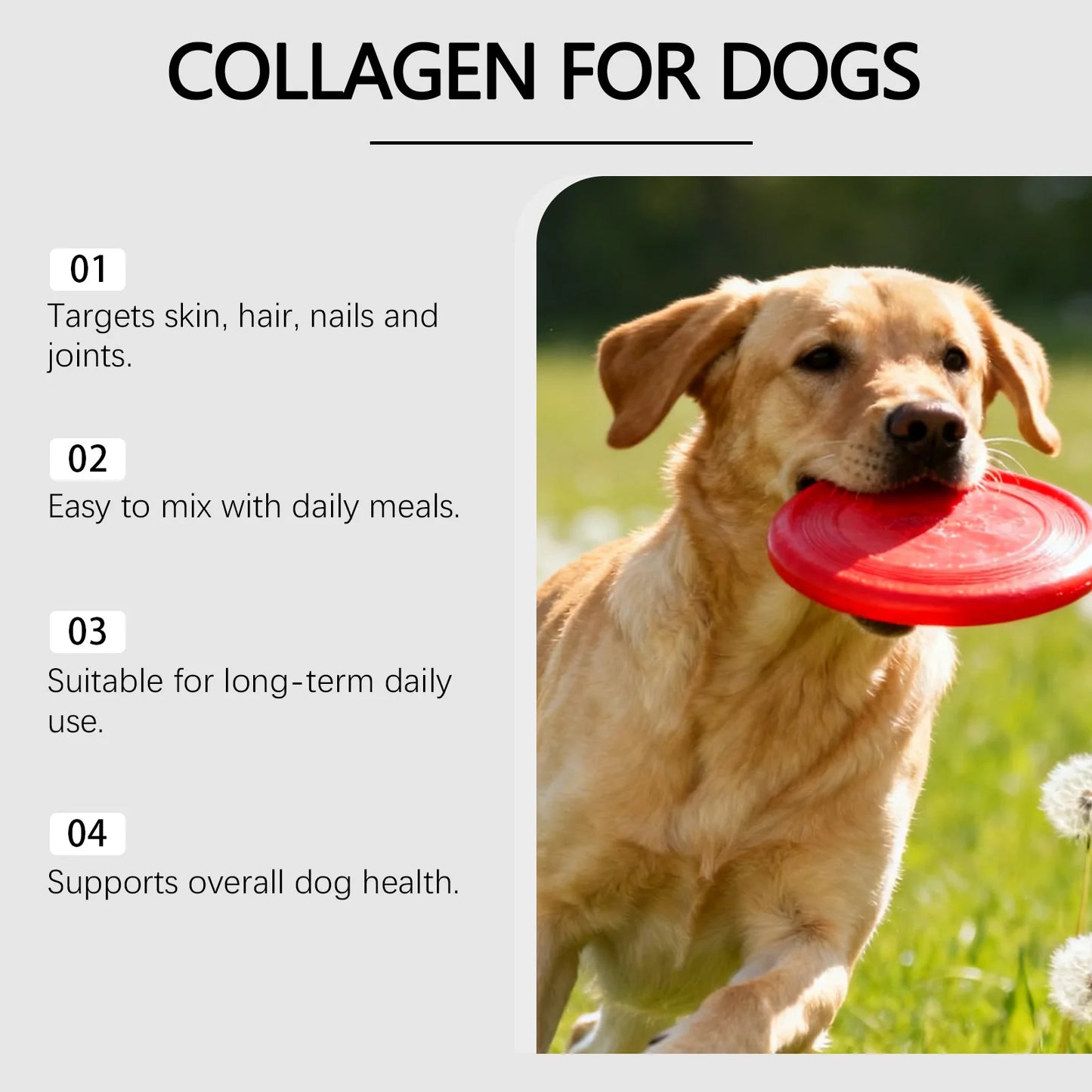 Dog Collagen Skin & Coat Supplement