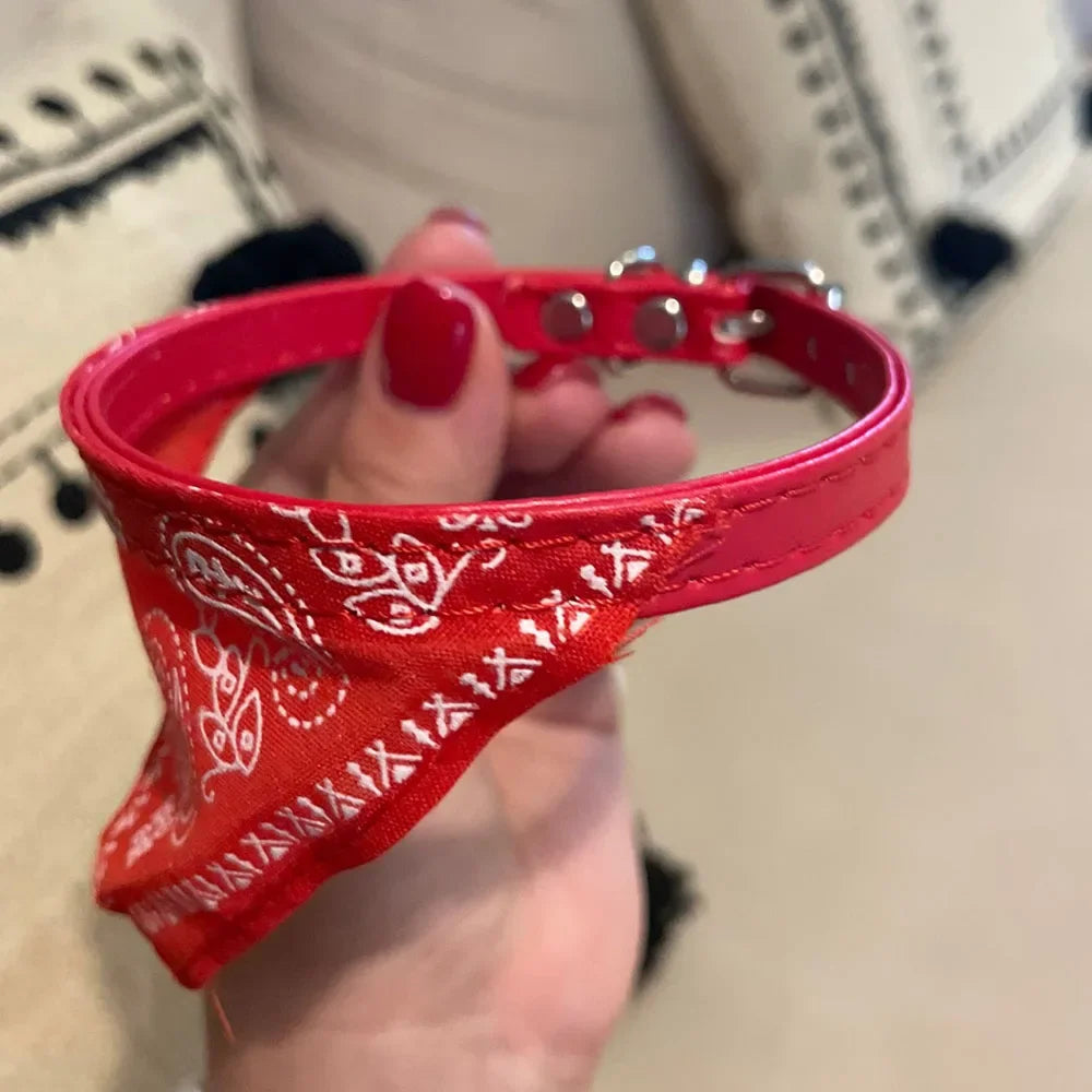 Printed Pet Bandana Collar