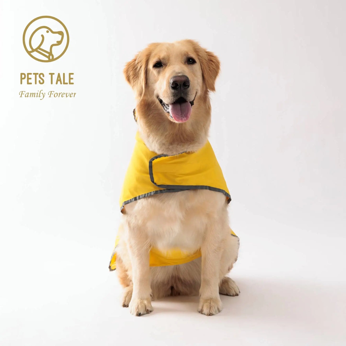 Double-Layer Reversible Dog Raincoat