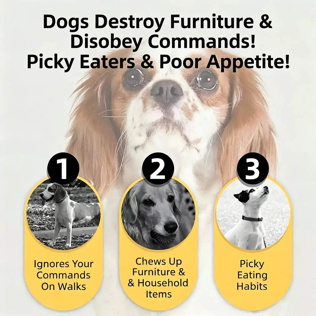 Beef Jerky Dog Treats