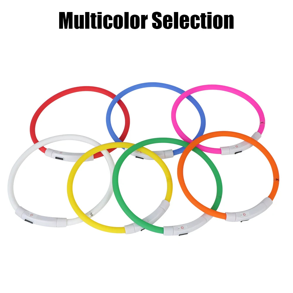 USB Rechargeable LED Dog Safety Collar