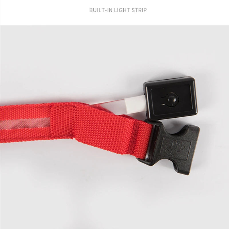 USB Rechargeable LED Glowing Pet Collar