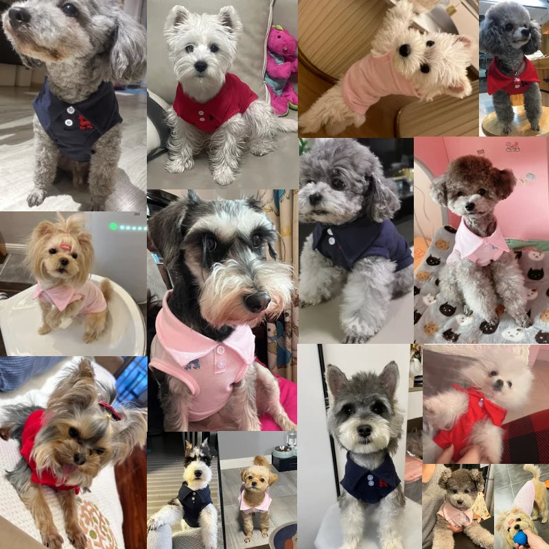 Pet Polo Shirt