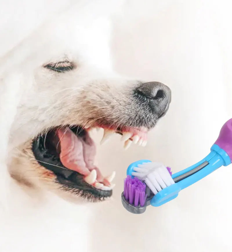 3-Sided Pet Toothbrush