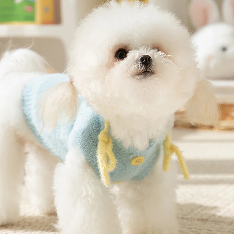 Letter Dog Sweater