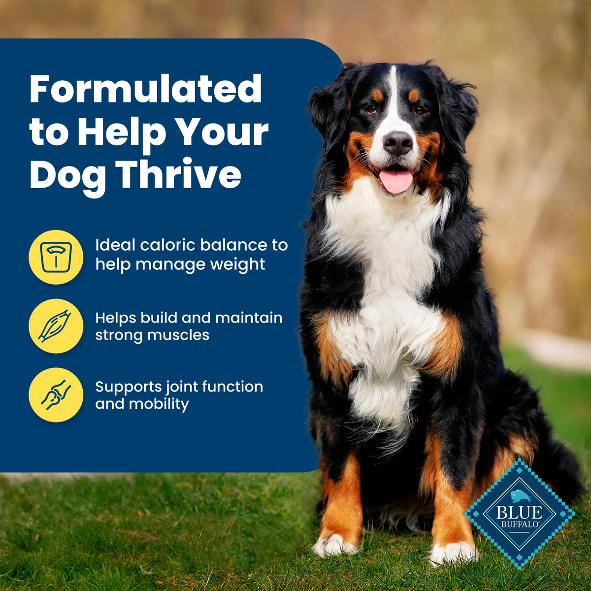 Healthy Weight Dry Dog Food
