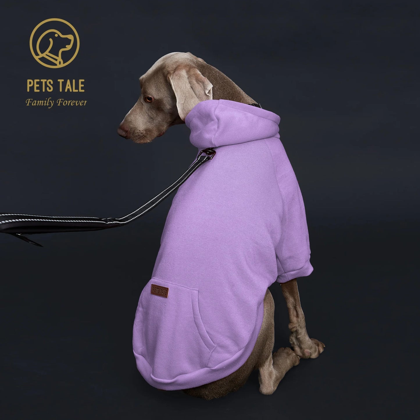 Dog Hoodie with Pocket
