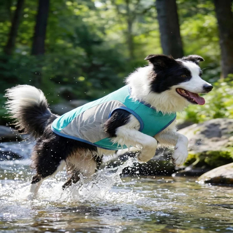 Cooling Pet Vest