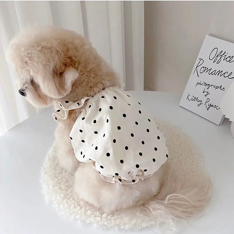 Dot Pet Dress