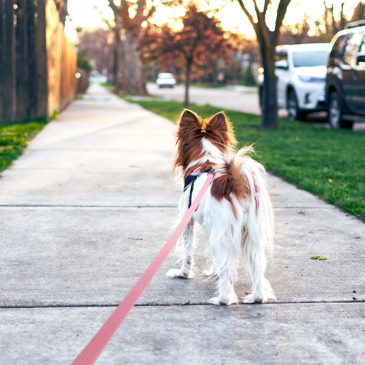 Waterproof PVC Long Dog Training Leash