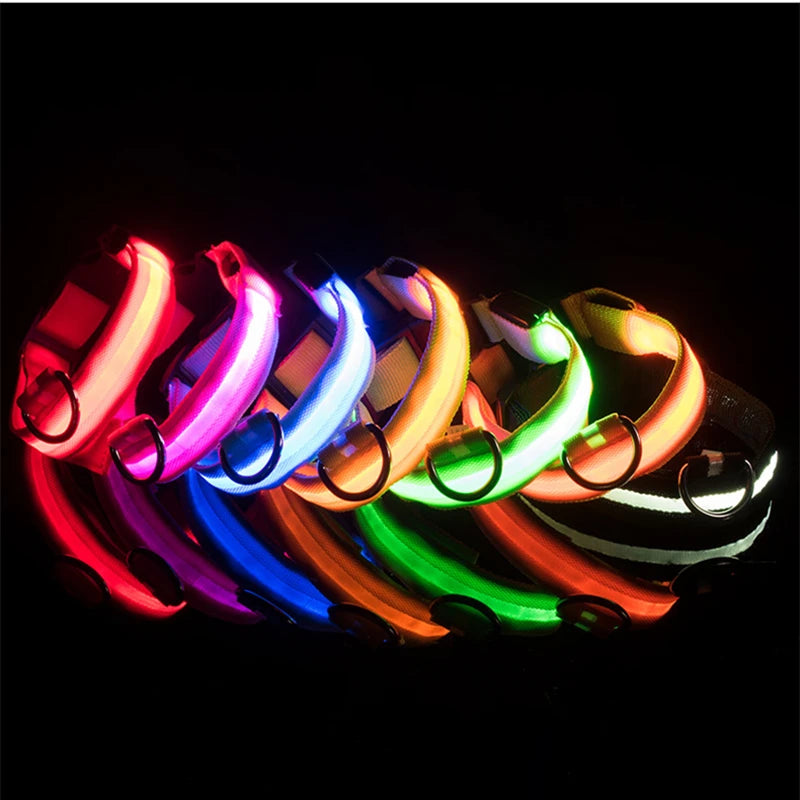USB Rechargeable LED Glowing Pet Collar