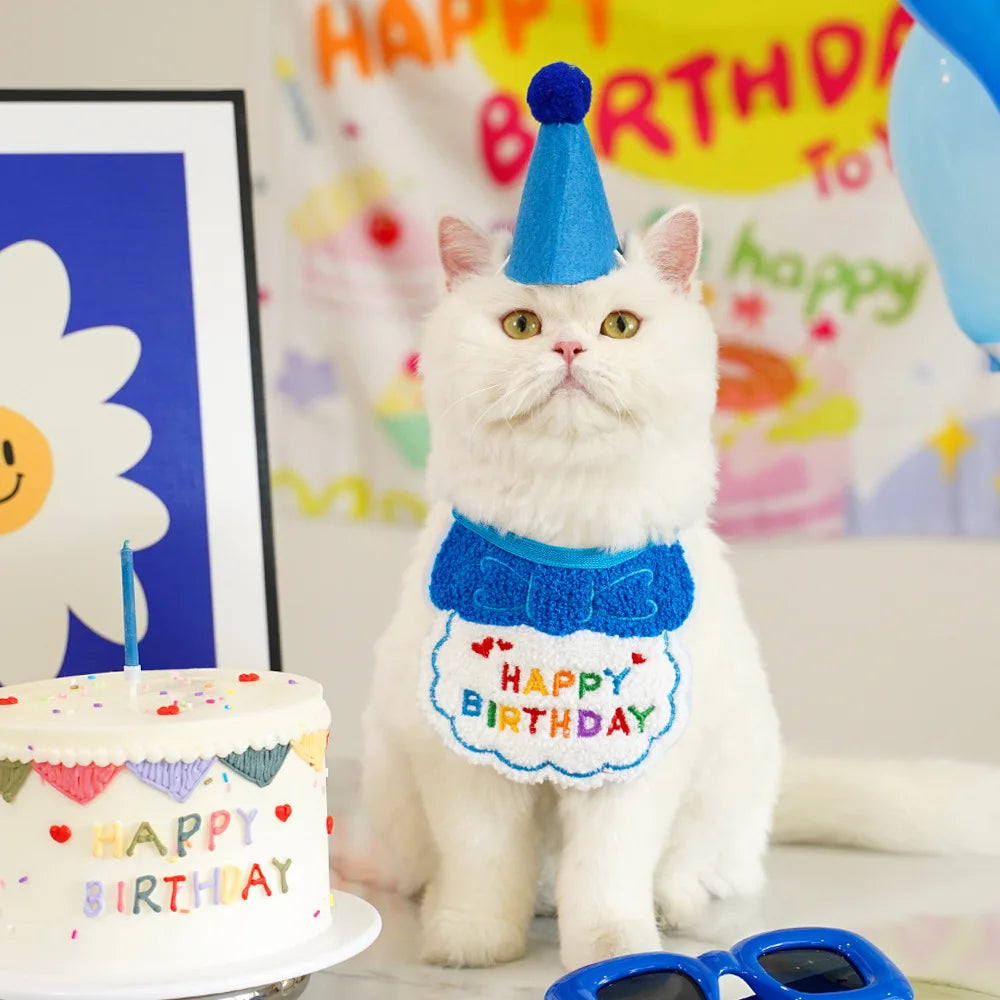 Pet Birthday Hat & Scarf Set