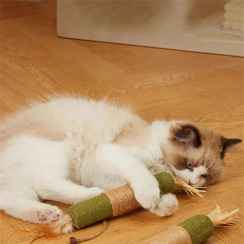 Smart Interactive Catnip Ball Toy